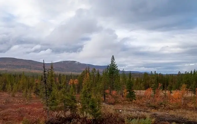 Ounastunturin tunturimaisema Lapissa, kivinen retkeilypolku ja matalaa kasvillisuutta tunturikoivujen keskellä.